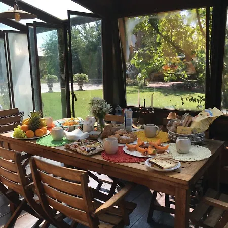 Palazzo Delle Biscie - Old Tower & Village * Molinella