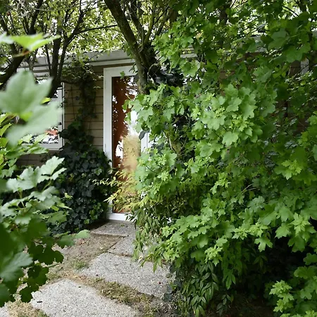 Resort Palazzo Delle Biscie - Old Tower & Village Molinella