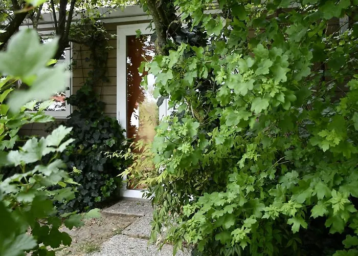 Resort Palazzo Delle Biscie - Old Tower & Village Molinella